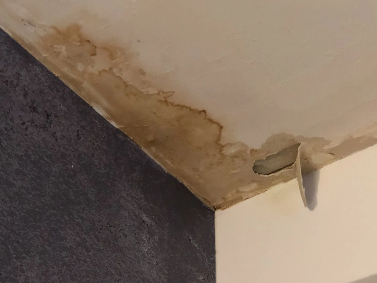 Penetrating damp staining on an internal wall surface